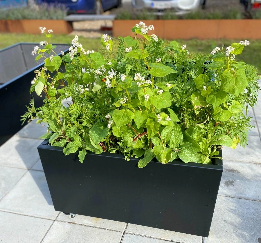 Sort Plantekasse | 80 X 40 X 40 Cm Fødder Uden Flamingo Uden Kapilær