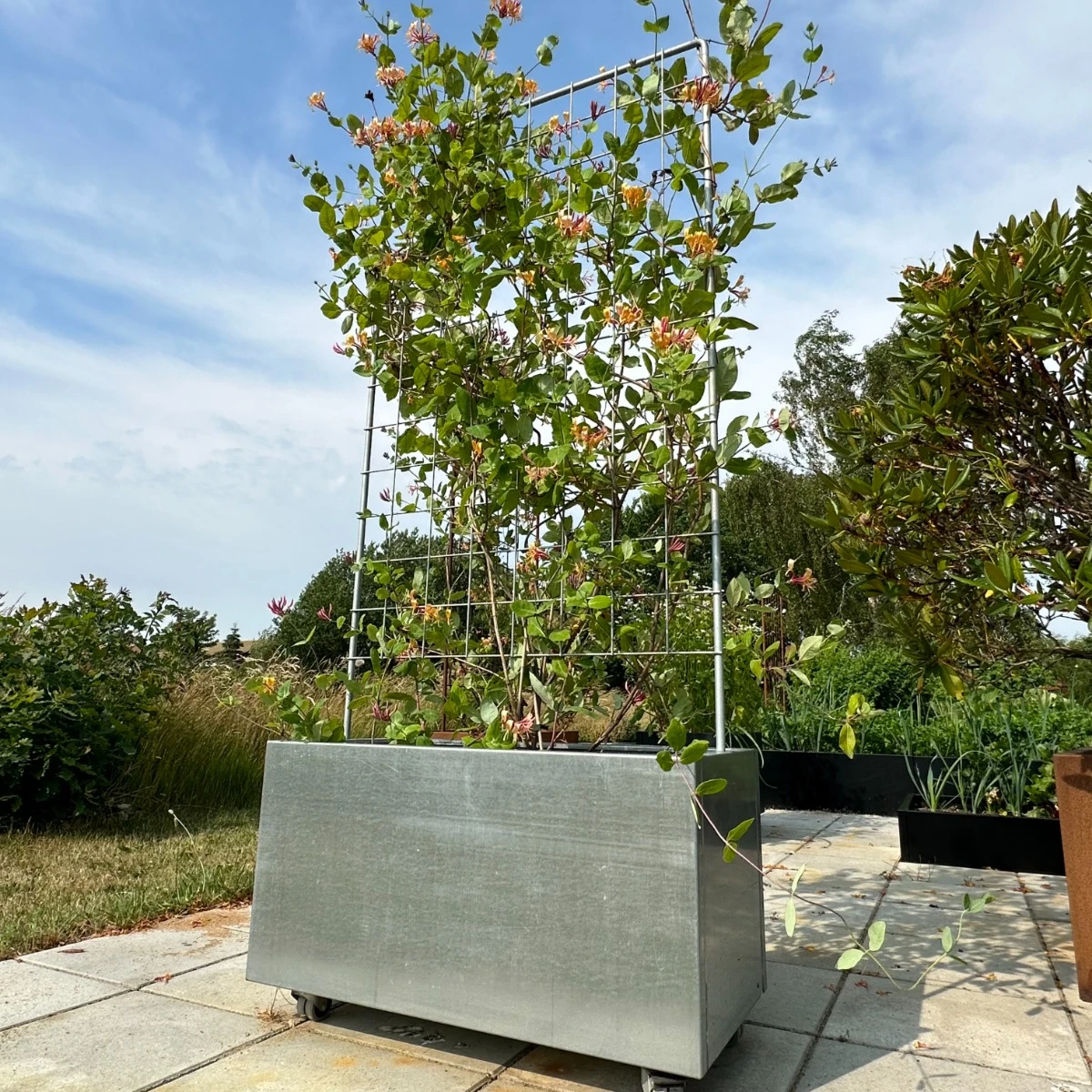 Plantekumme Galva. 80 X 40 X 40 Cm M/espalier Fødder Uden Flamingo Uden Kapilærindsats
